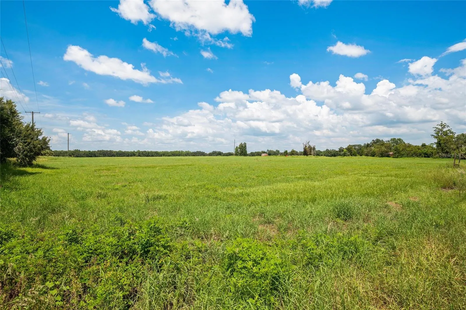 12410 THONOTOSASSA RD