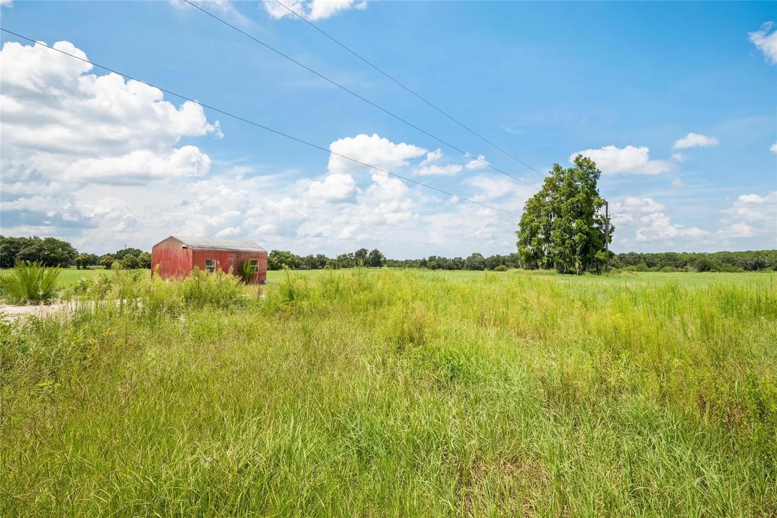 12410 THONOTOSASSA RD