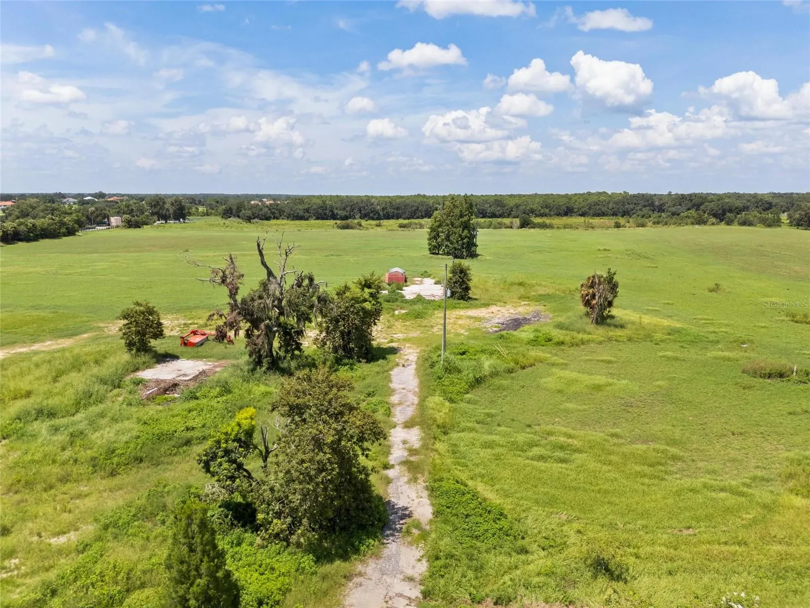 12410 THONOTOSASSA RD