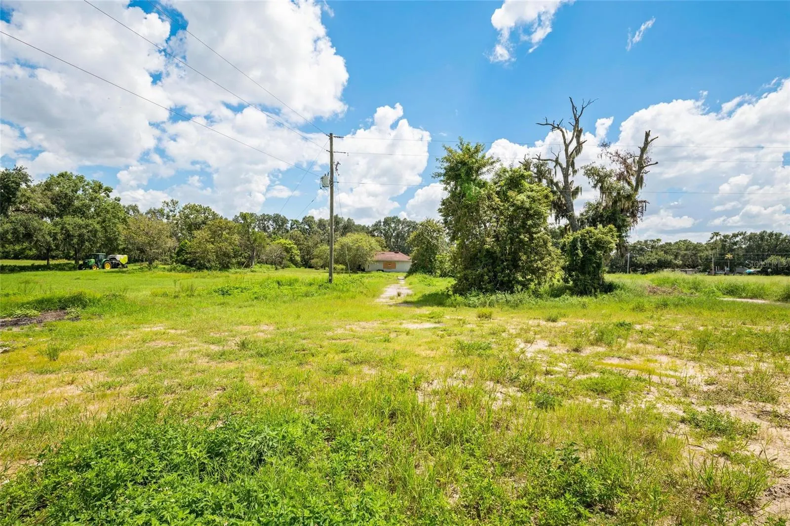 12410 THONOTOSASSA RD