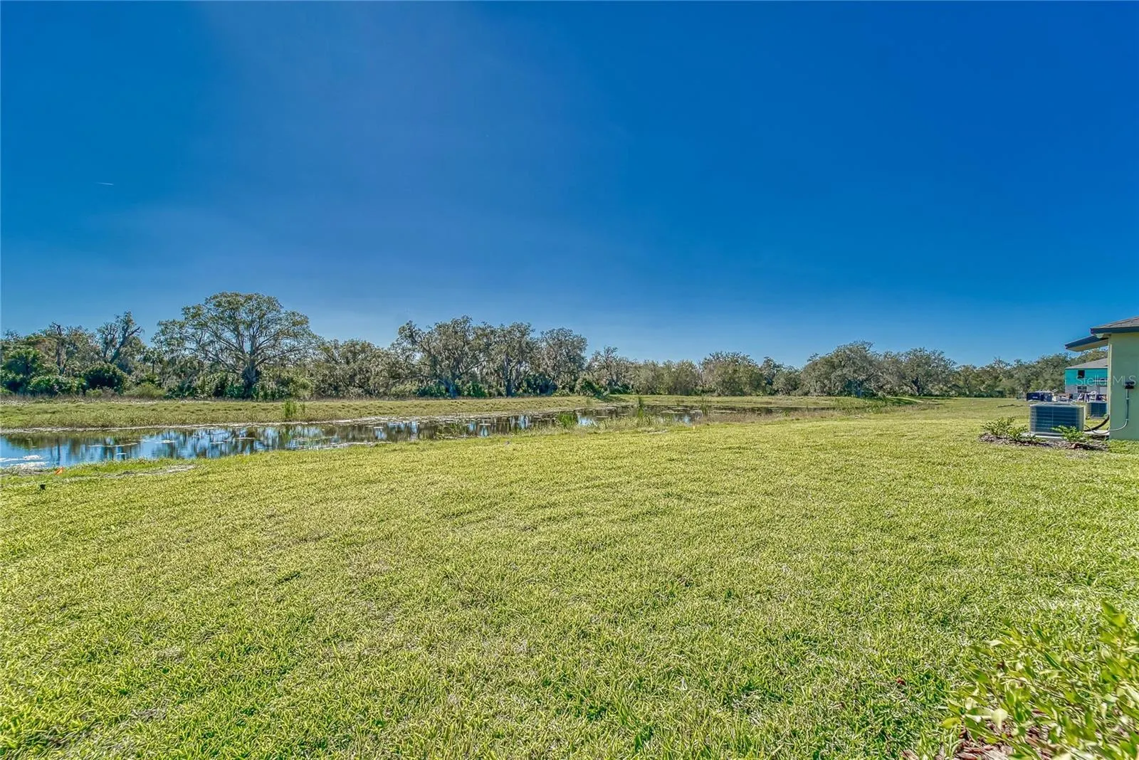 10245 SHADY PRESERVE DR