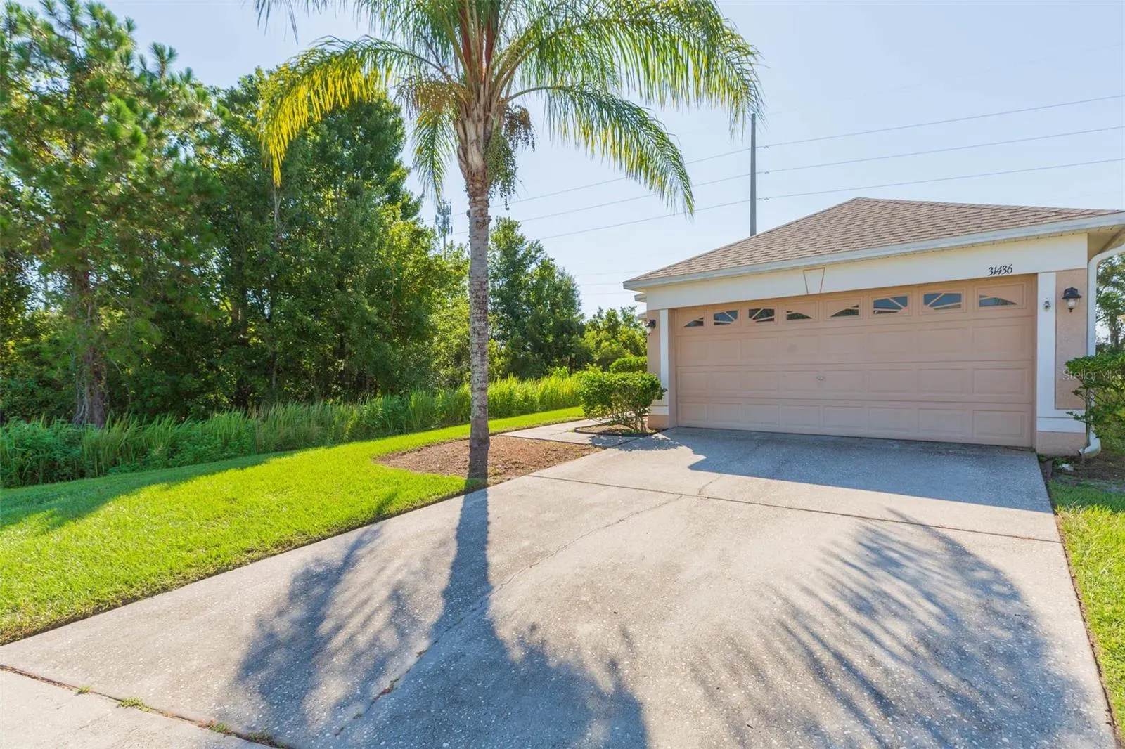 31436 TRIBOROUGH DR
