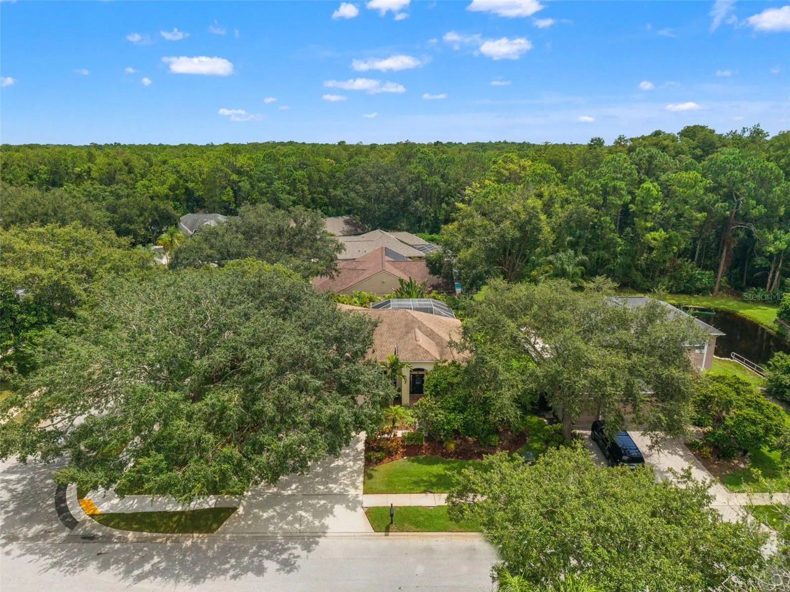 4681 ILEX CT