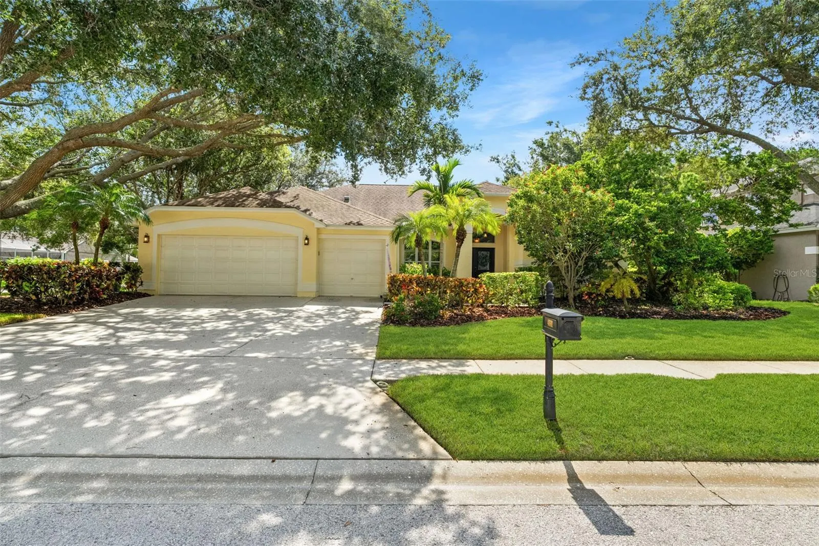 4681 ILEX CT