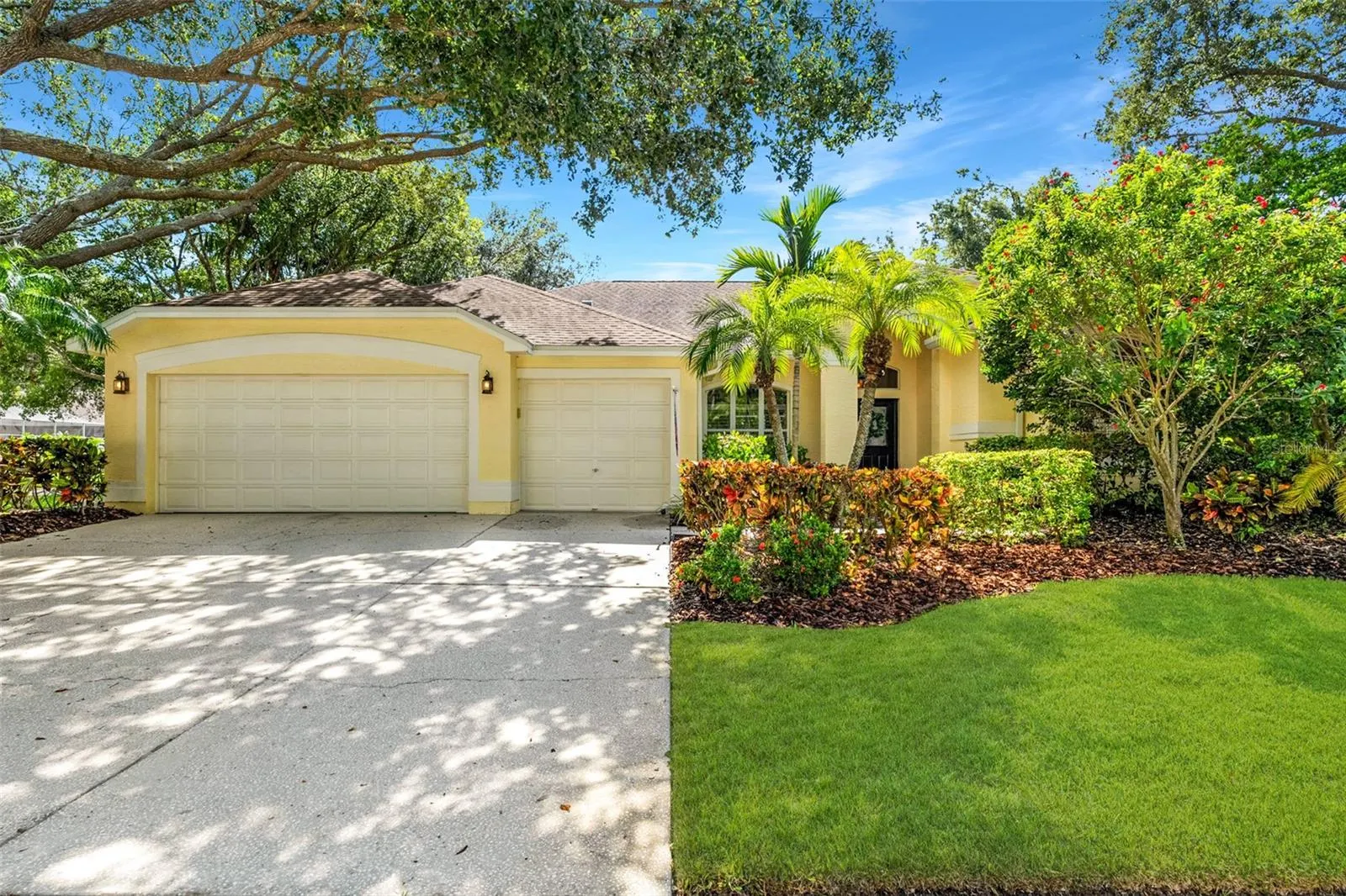 4681 ILEX CT
