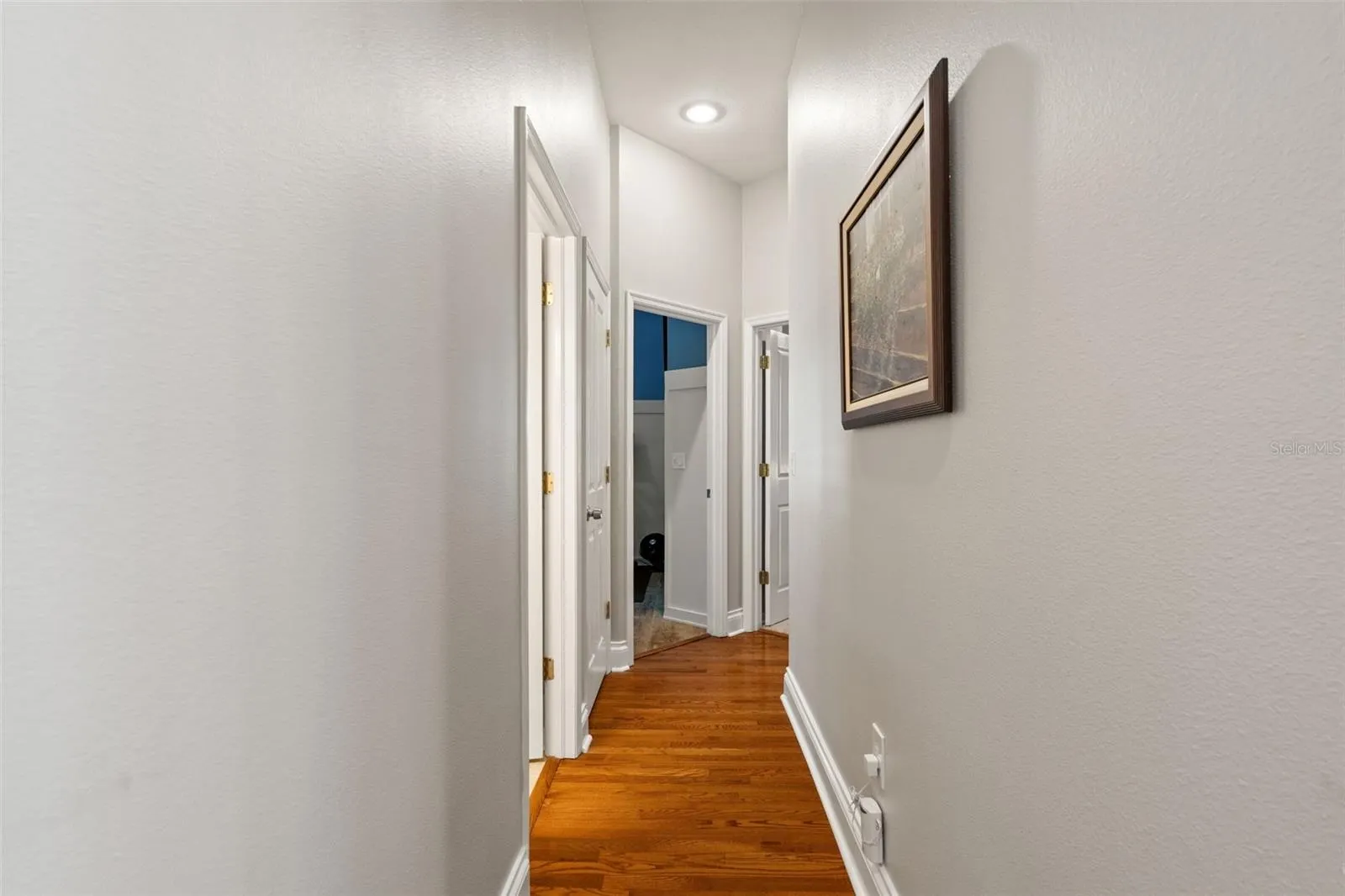 4681 ILEX CT