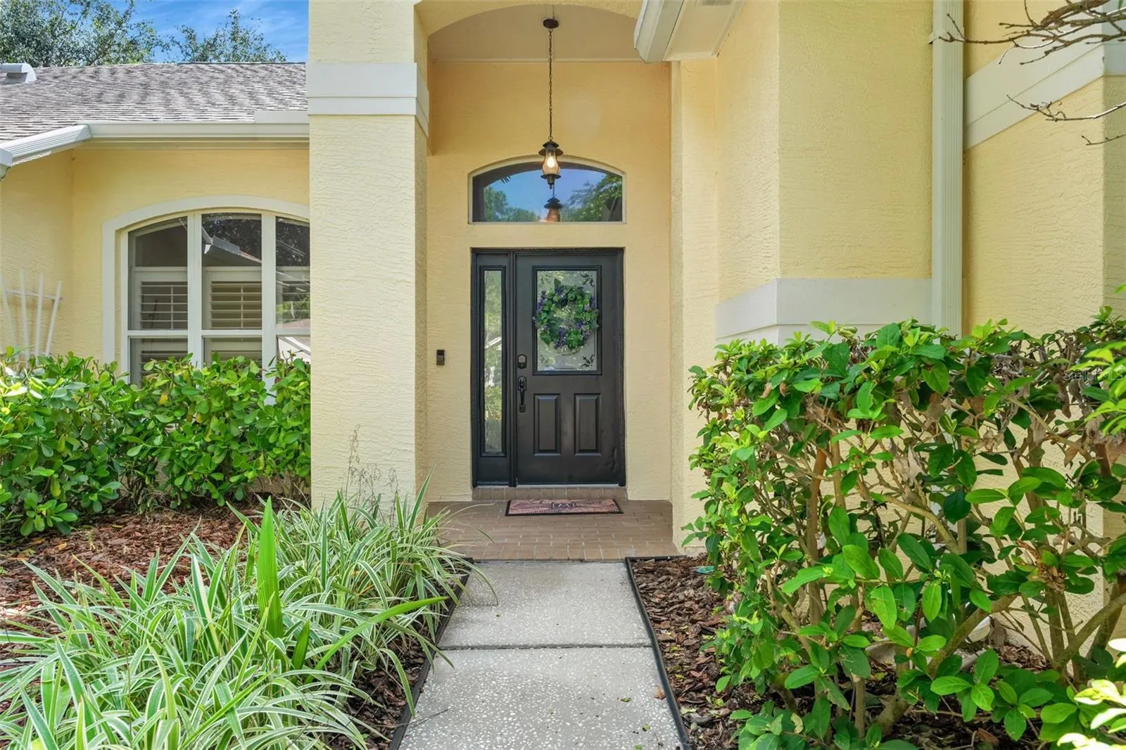 4681 ILEX CT
