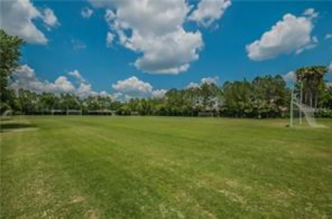 4681 ILEX CT