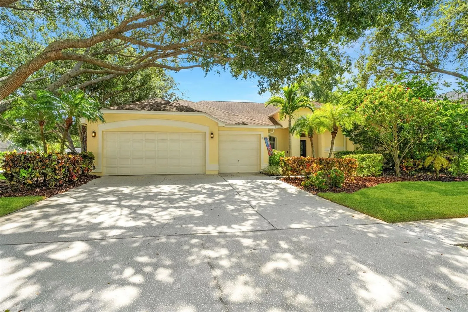 4681 ILEX CT