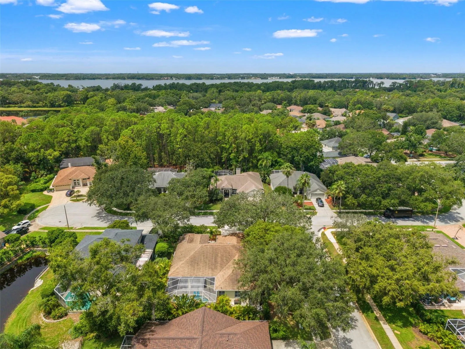 4681 ILEX CT
