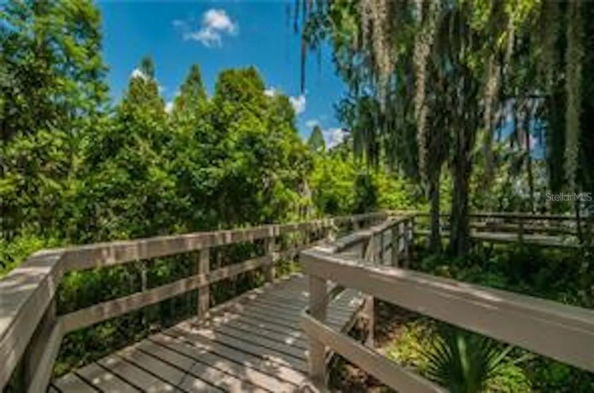 4681 ILEX CT