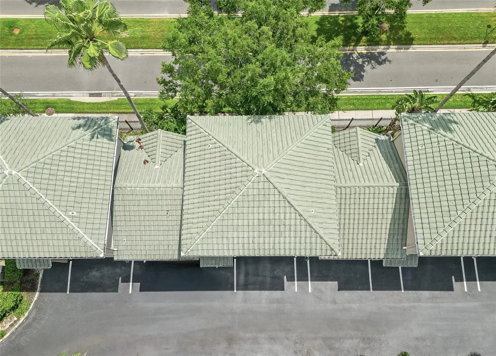 501 KNIGHTS RUN AVE #5102, #5102