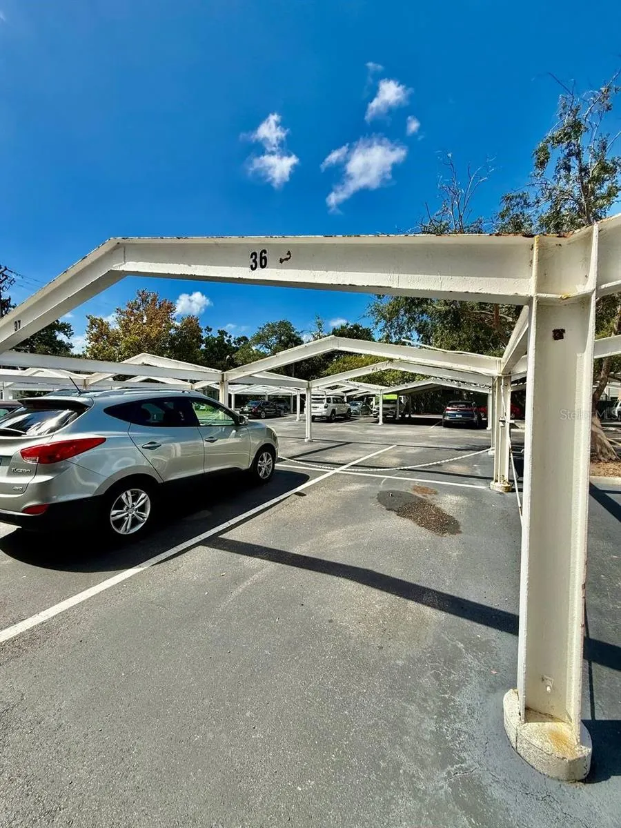 4015 BAYSHORE BLVD #15A, #15A