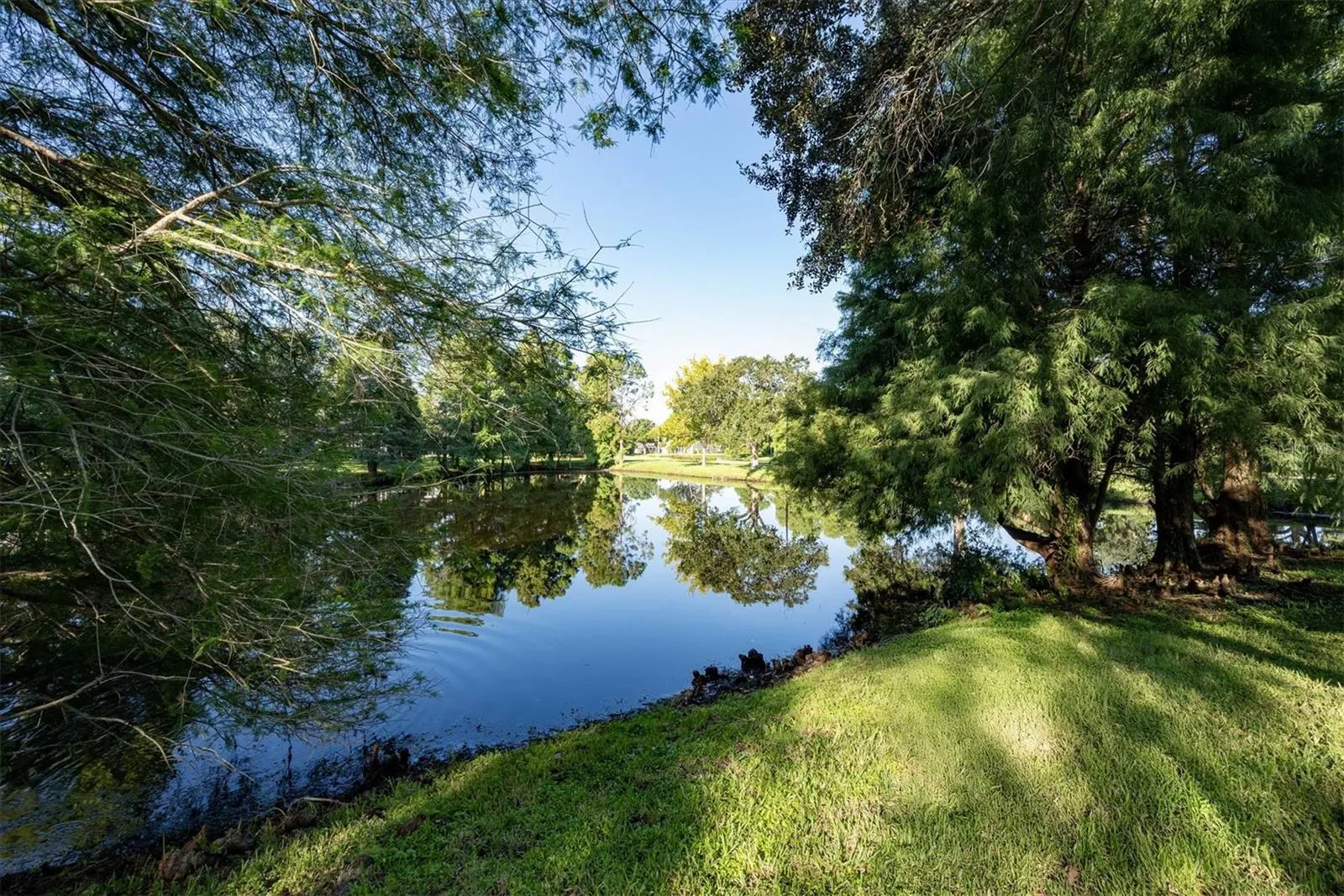 10346 ABBOTSFORD DR