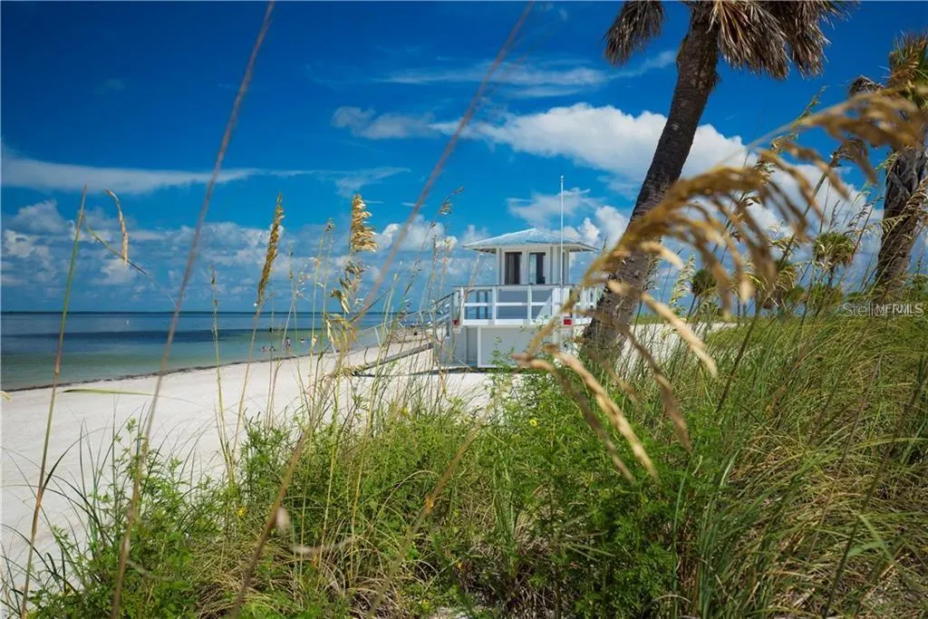 39820 US HWY 19 N #84, #84