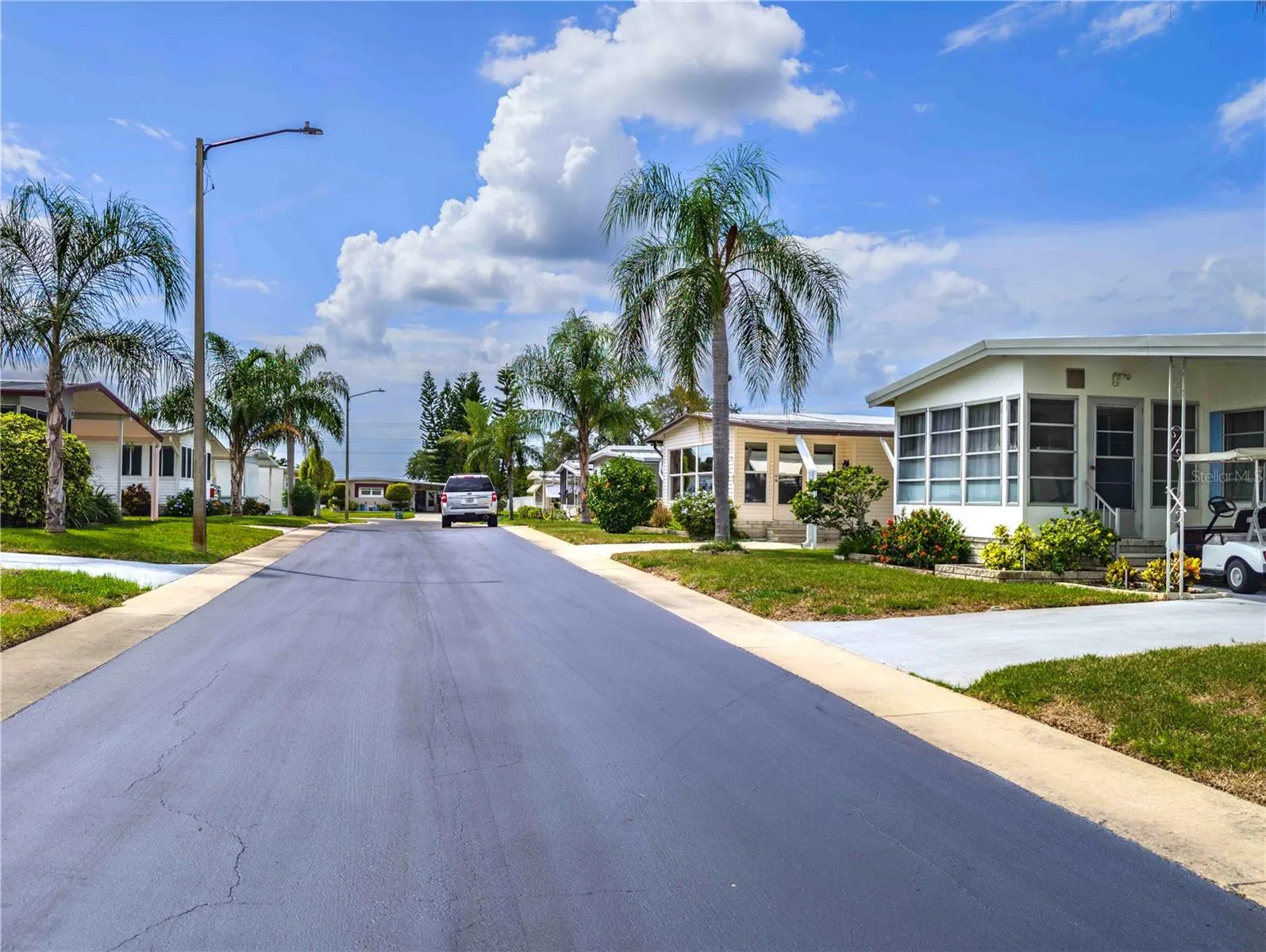 39820 US HWY 19 N #84, #84