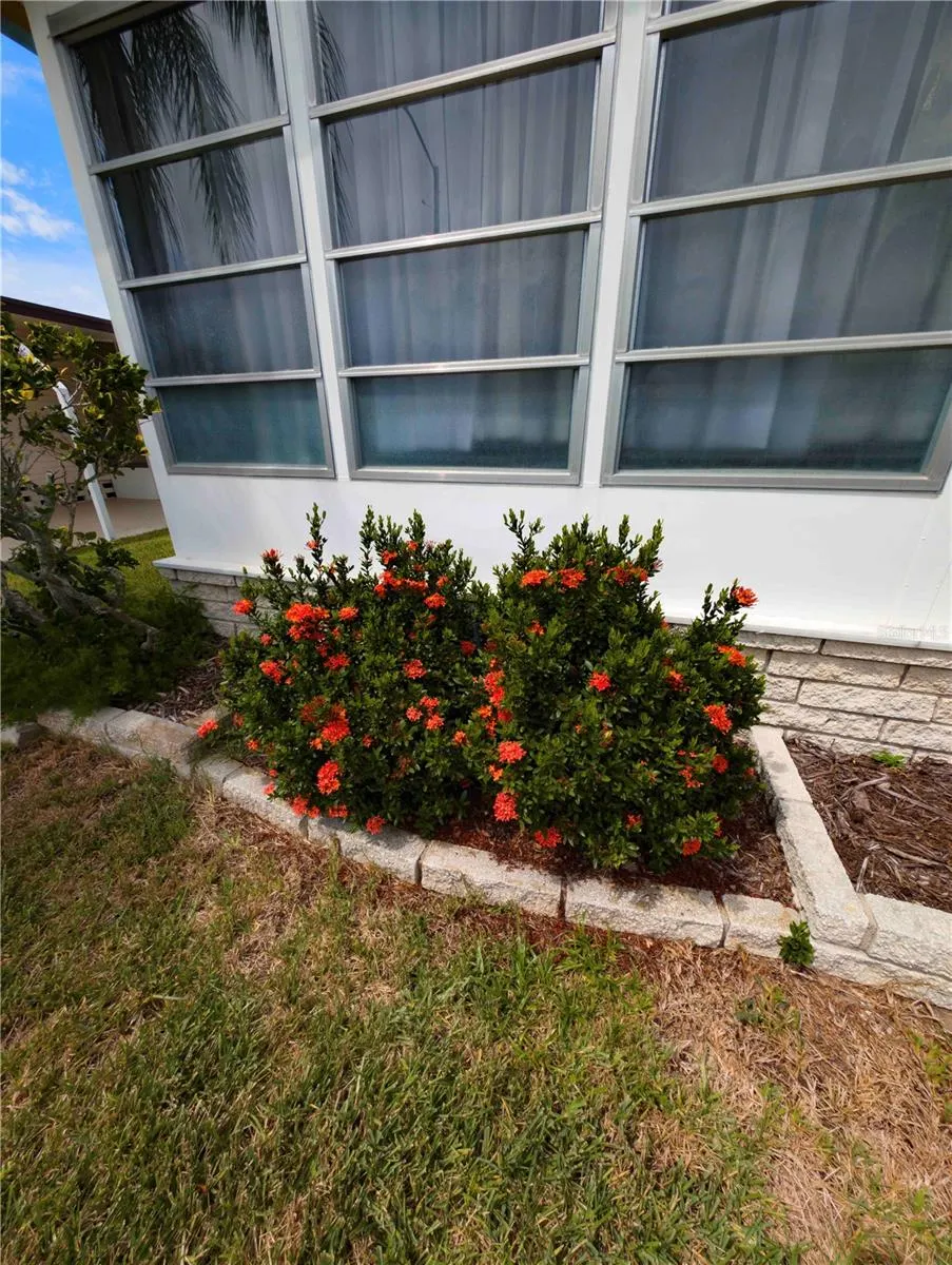 39820 US HWY 19 N #84, #84