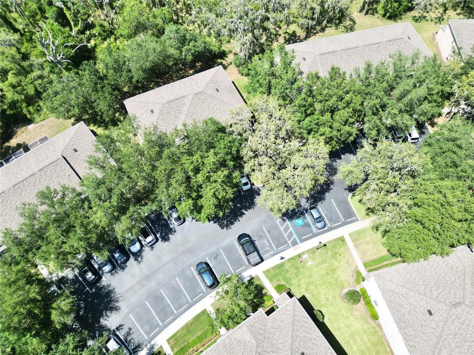 15922 FISHHAWK CREEK LN