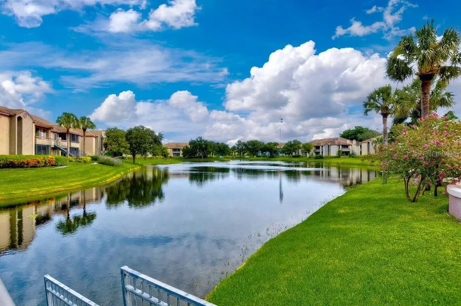 10263 GANDY BLVD N #2312, #2312