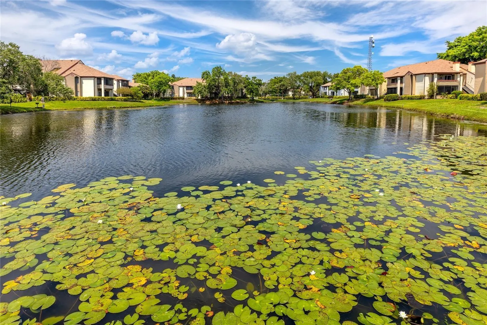 10263 GANDY BLVD N #2312, #2312