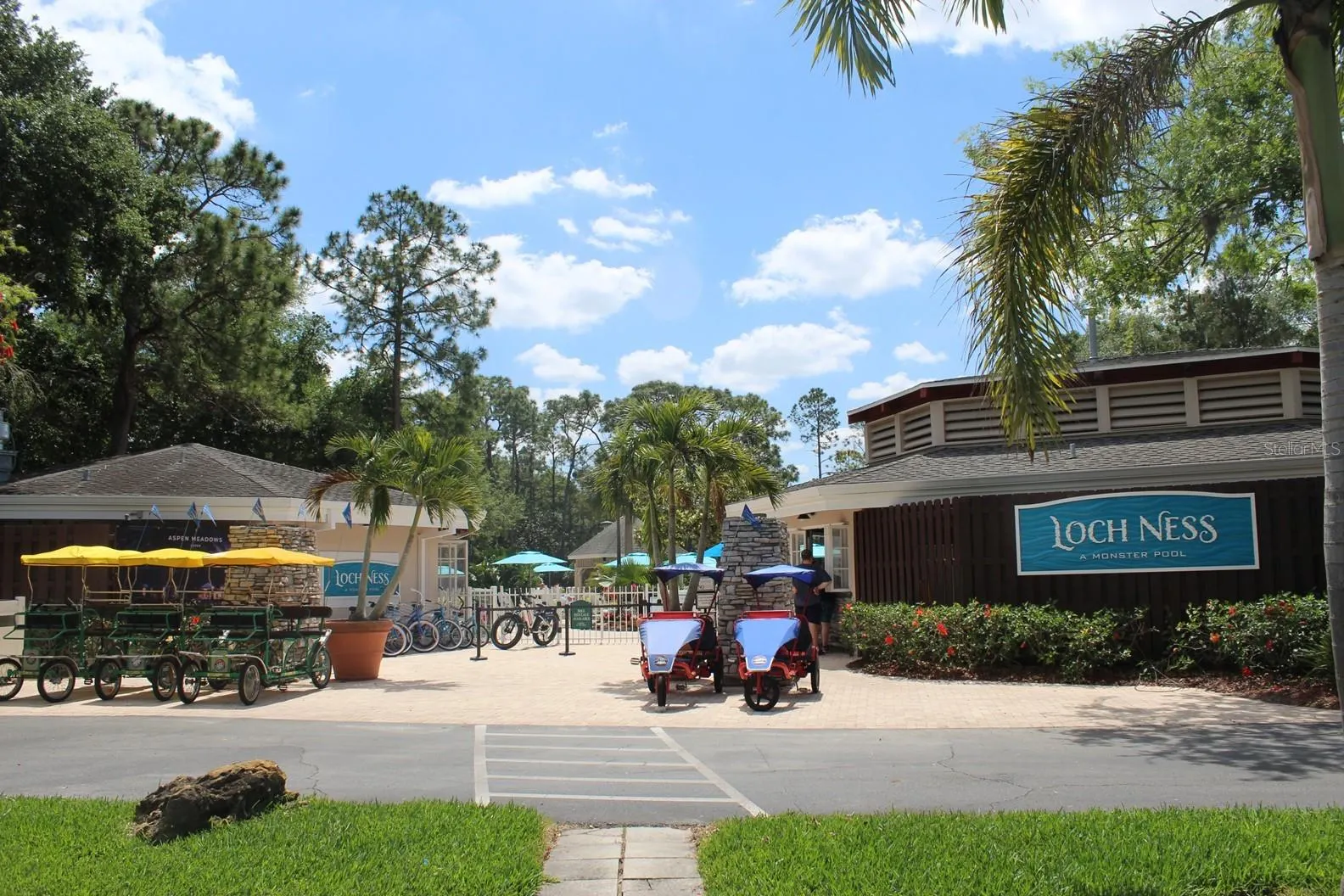 36750 US HIGHWAY 19 N #10108, #10108