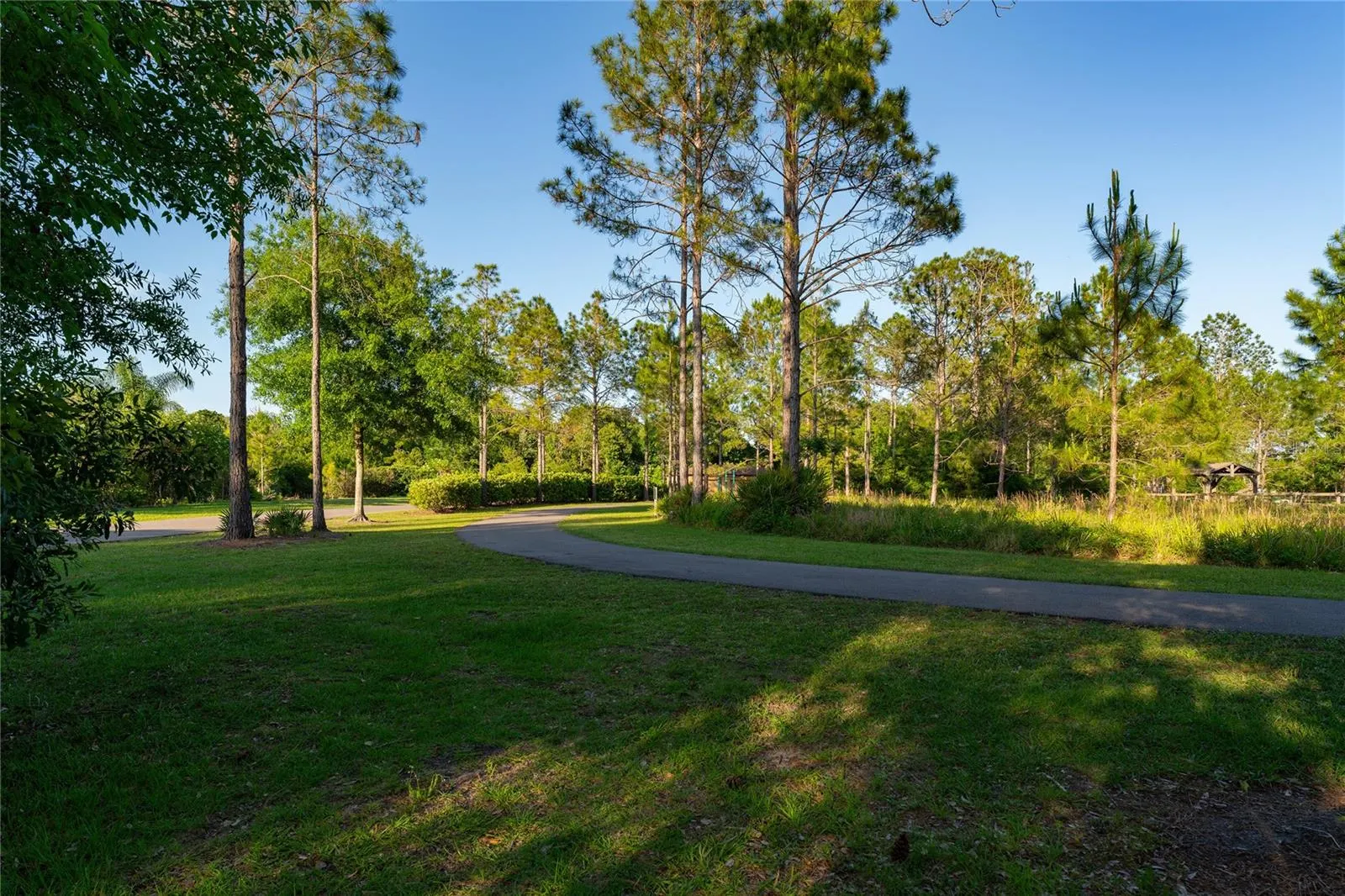 9117 WOODRIDGE RUN DR