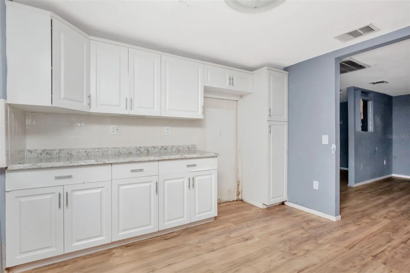 1009 MERCER LOOP