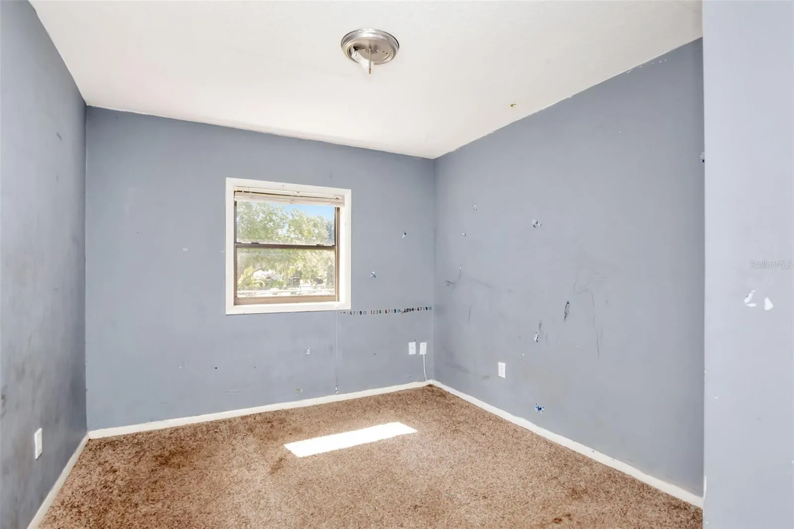 1009 MERCER LOOP