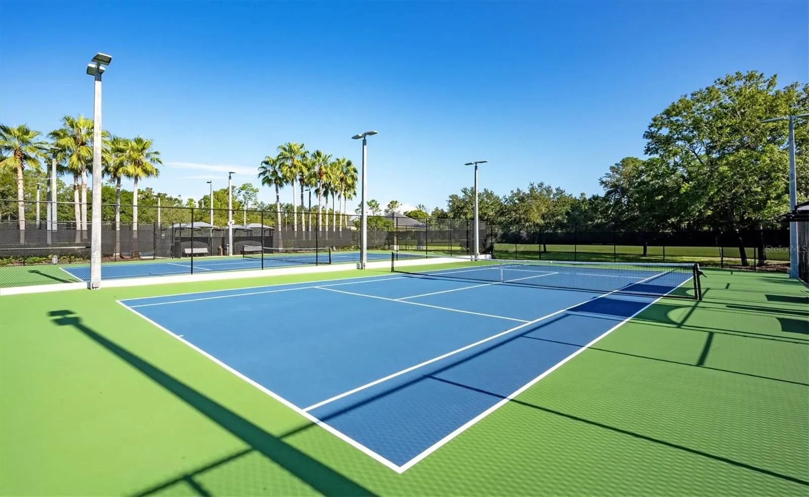 14608 MIRASOL MANOR CT
