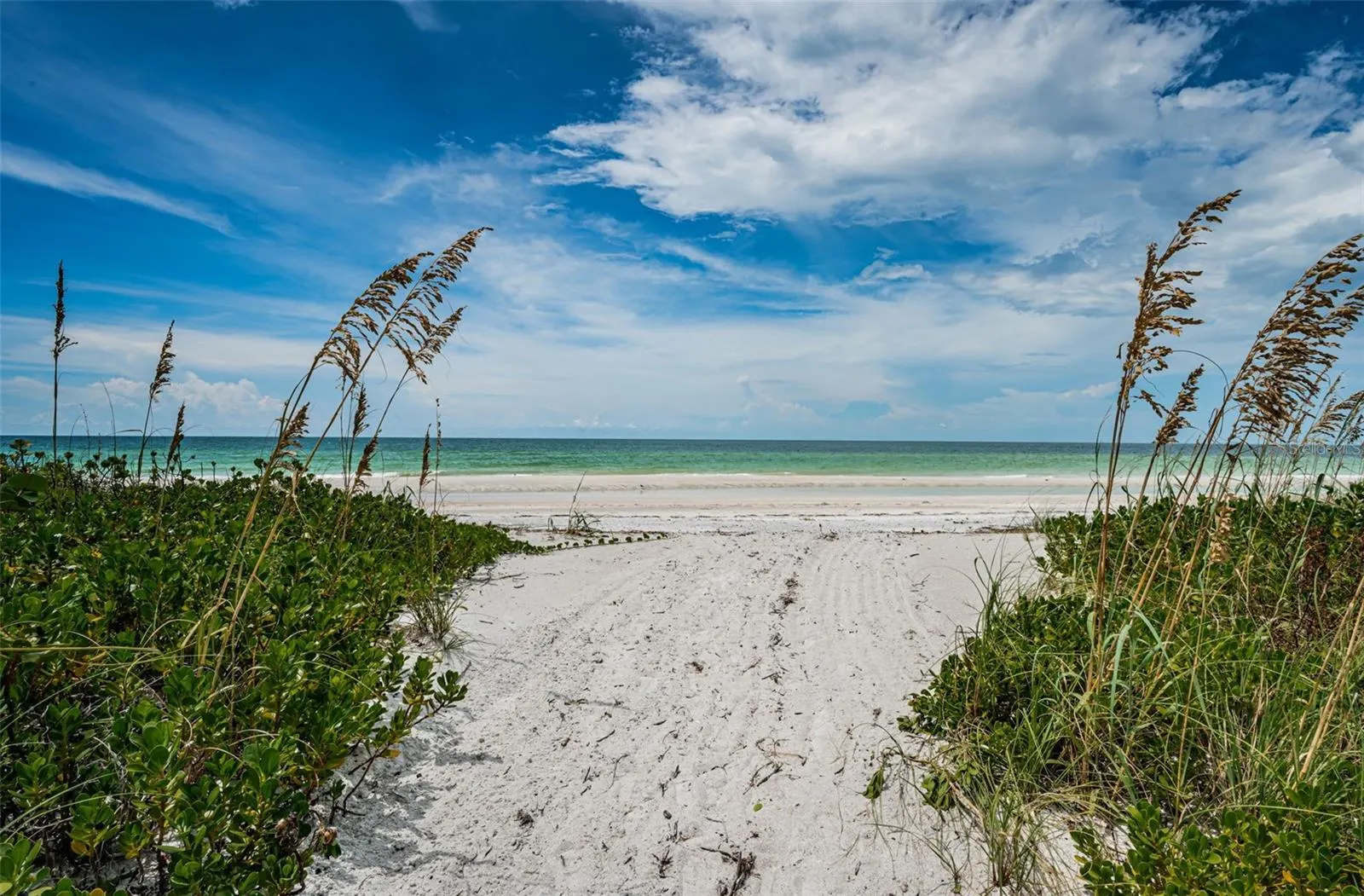 1290 GULF BLVD #2004, #2004