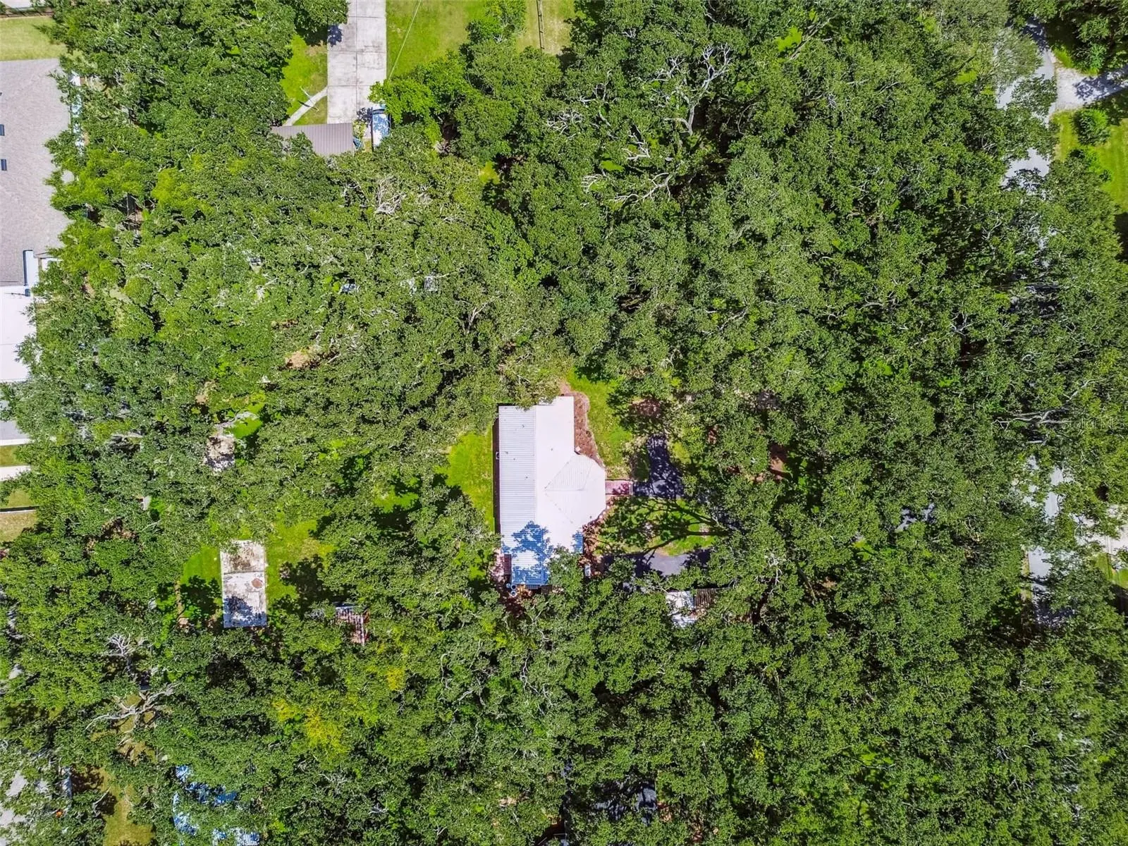 2818 VIOLA LN