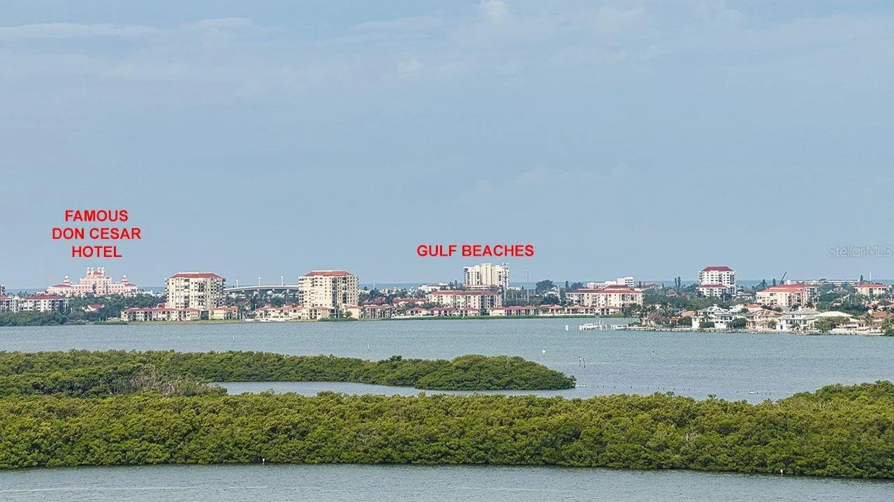 7430 SUNSHINE SKYWAY LN S #804, #804