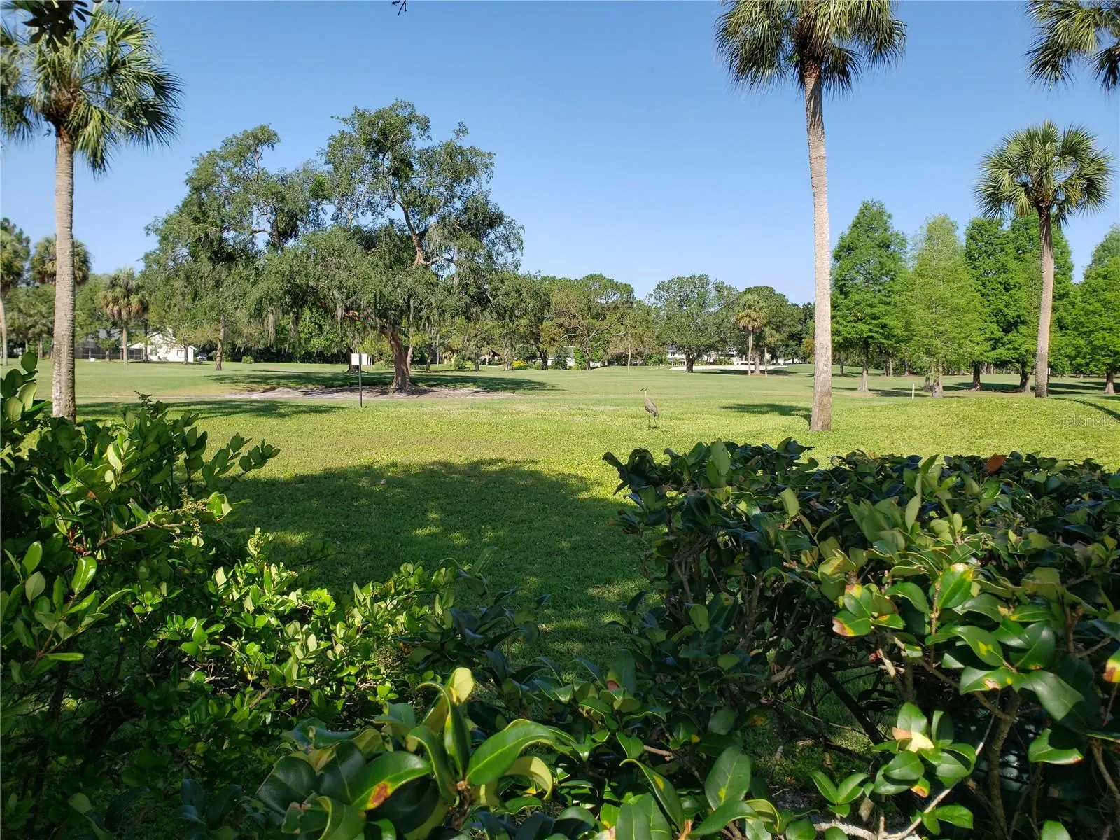 13626 GREENFIELD DR #309, #309