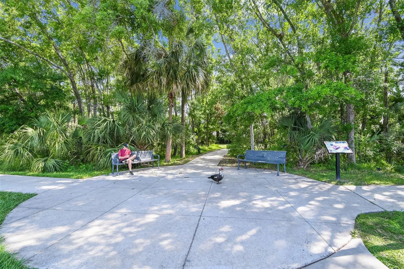 13032 SANCTUARY VILLAGE LN