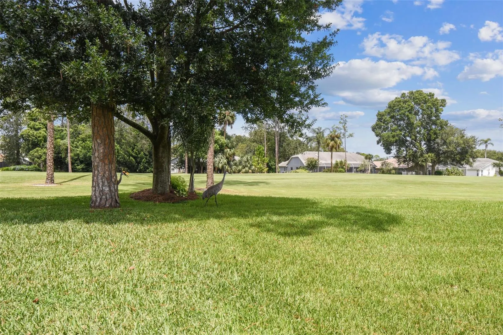8157 HIDDEN HILLS DR