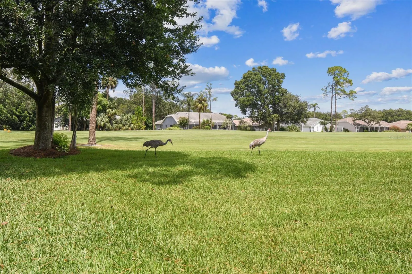 8157 HIDDEN HILLS DR