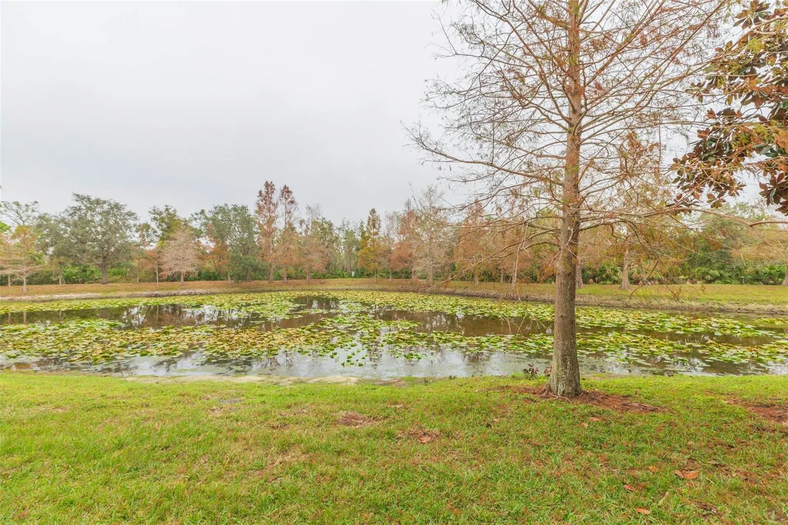 9024 WHITE SAGE LOOP