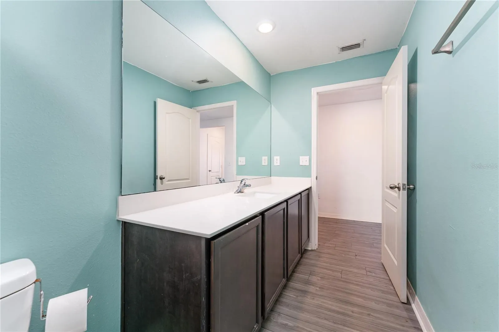1372 SWAN LAKE CIR