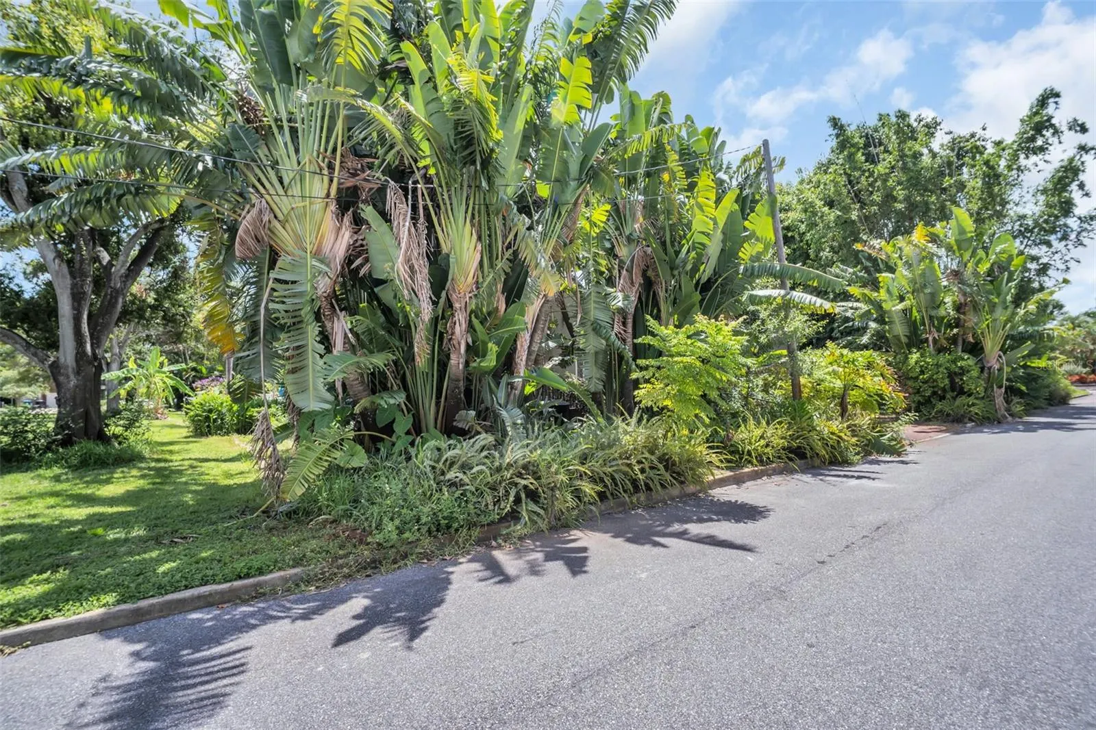 720 15TH AVE N