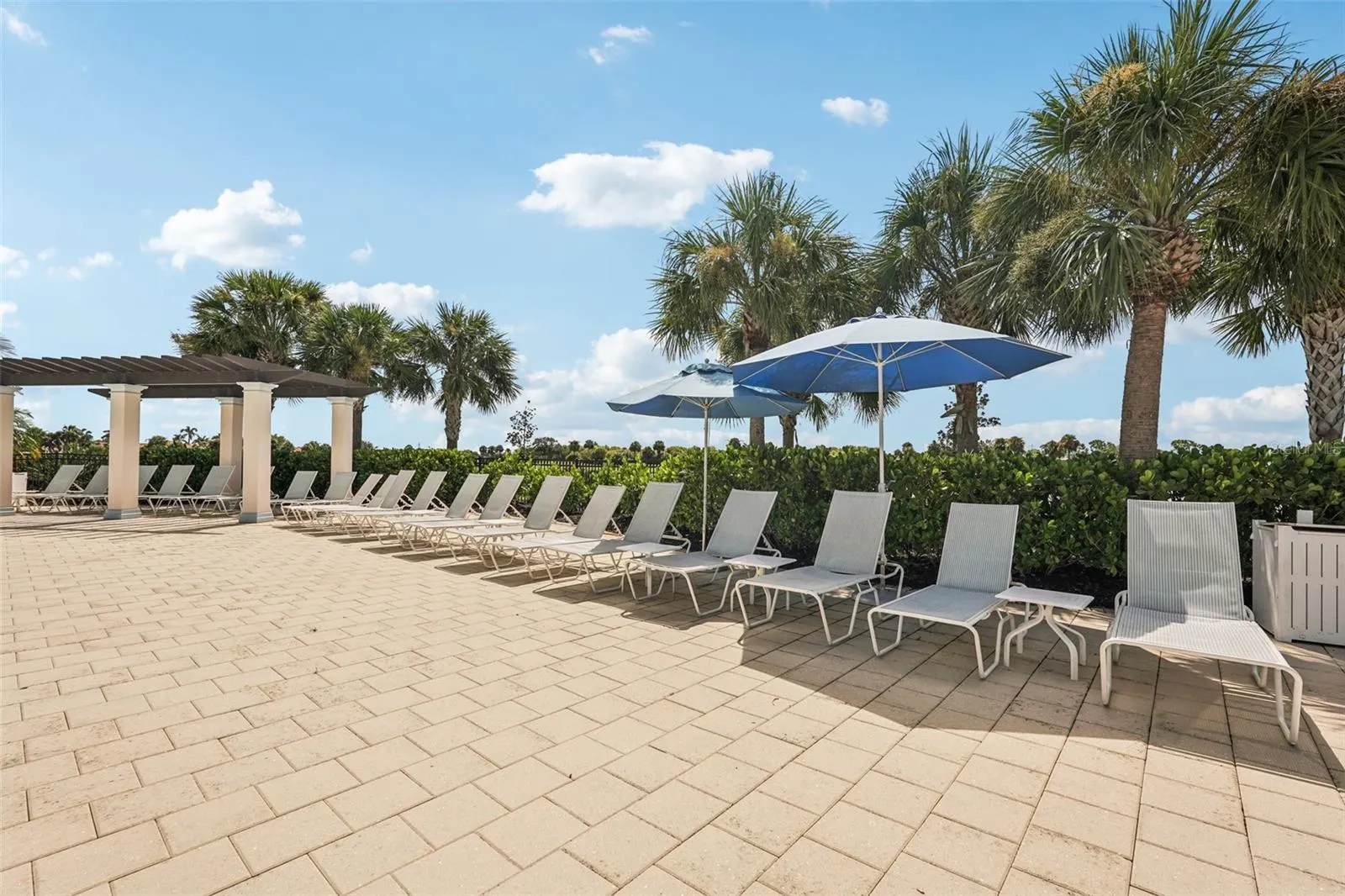 24176 SPARTINA DR