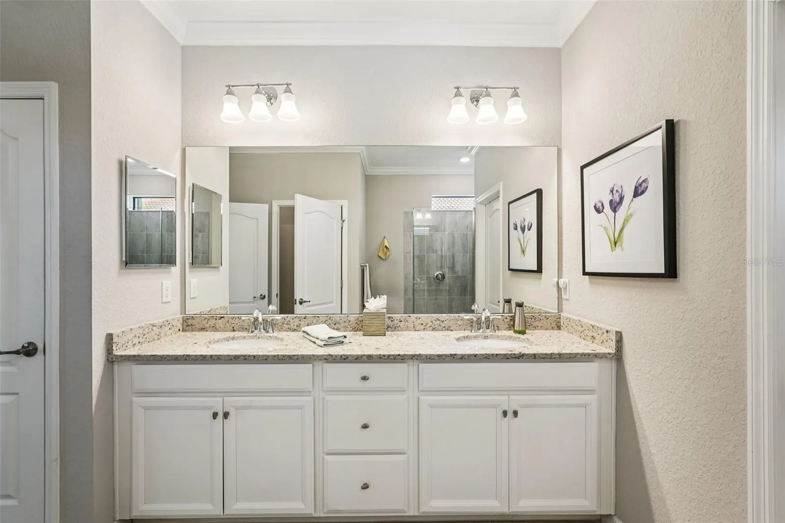 24176 SPARTINA DR