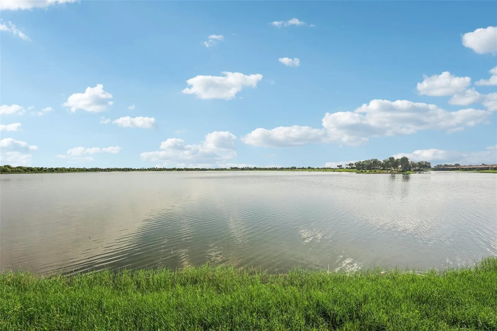 24176 SPARTINA DR