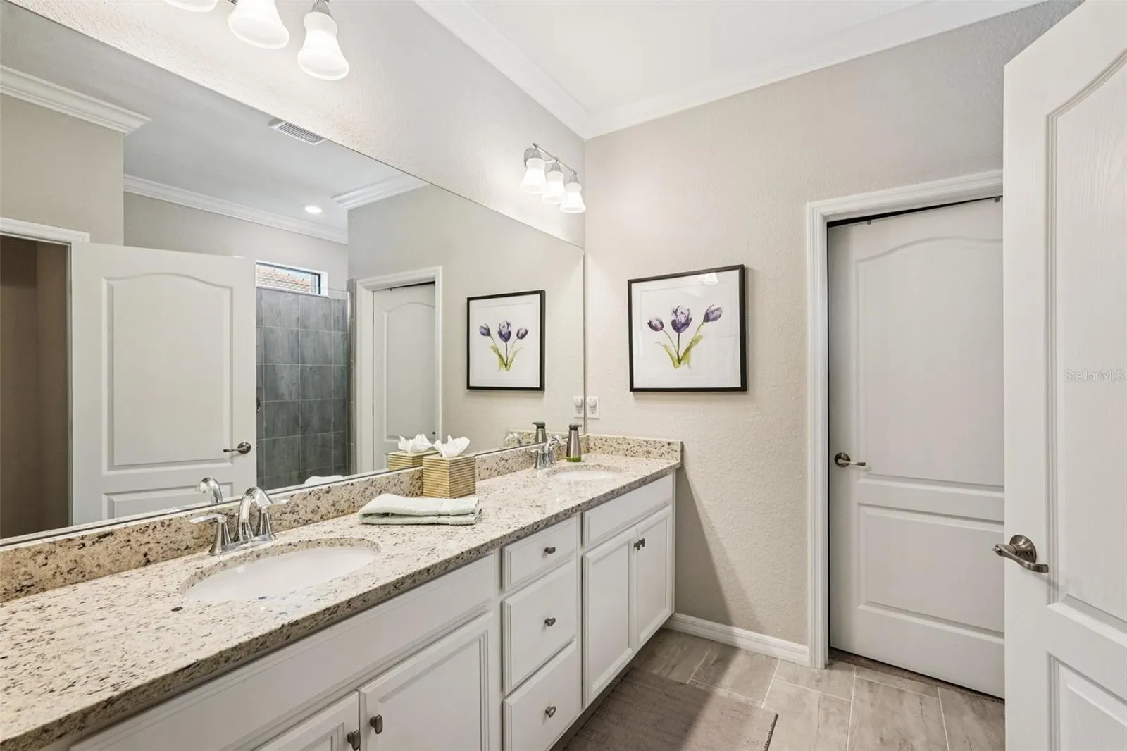 24176 SPARTINA DR