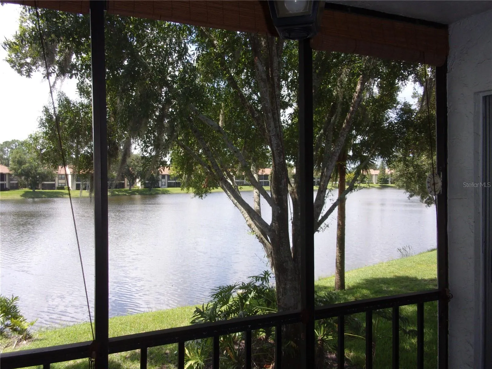 216 CYPRESS LN