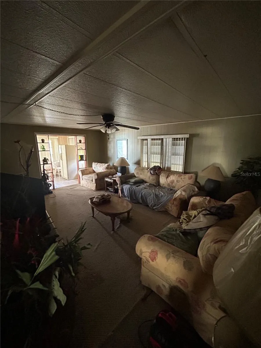 229 DIXIE LN