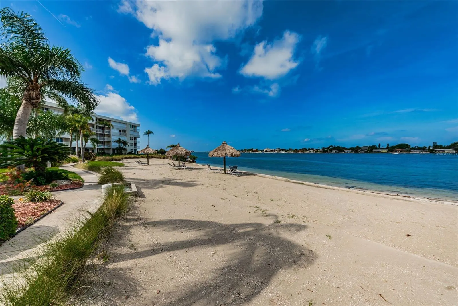 5901 BAHIA DEL MAR CIR #321, #321