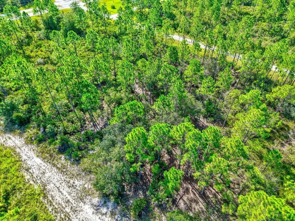 406 ALLAMANDA DR