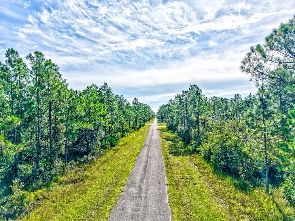 406 ALLAMANDA DR