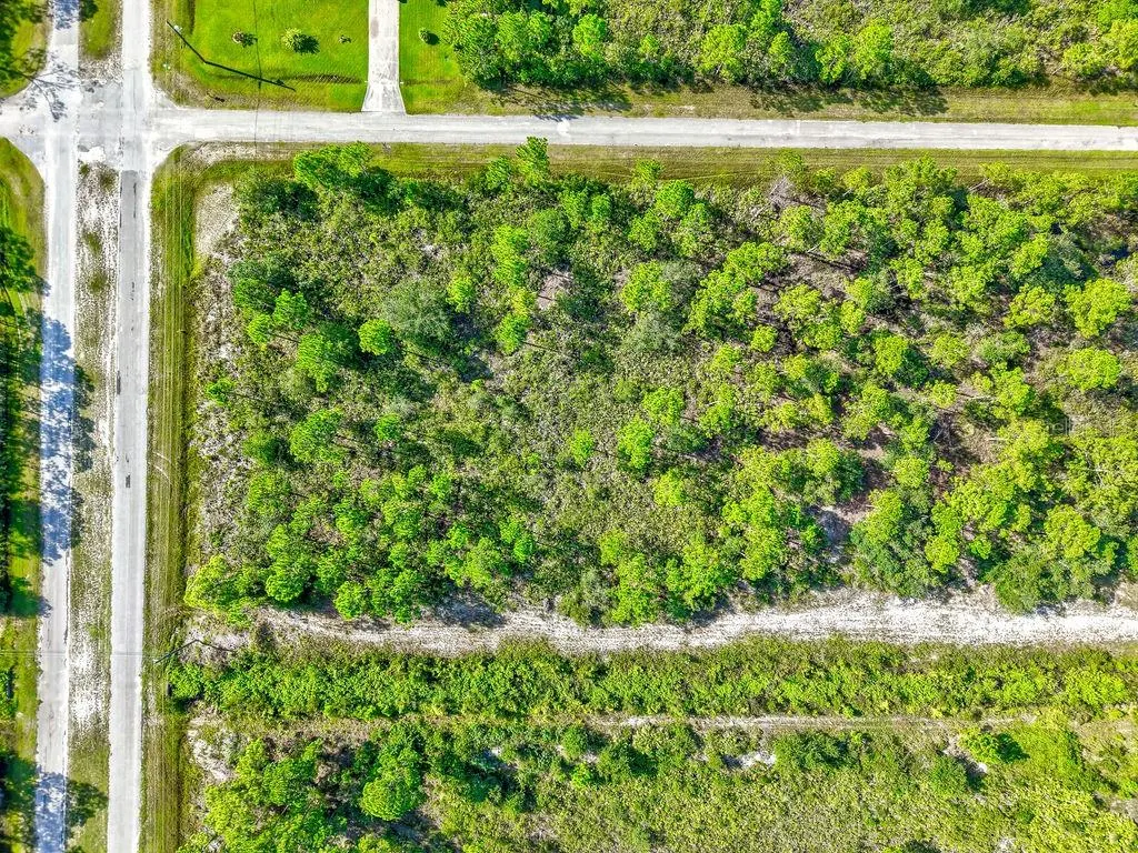 406 ALLAMANDA DR