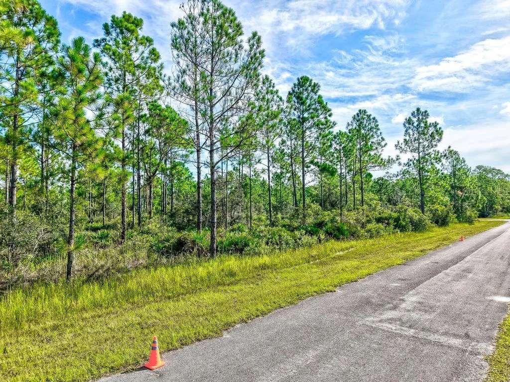 406 ALLAMANDA DR
